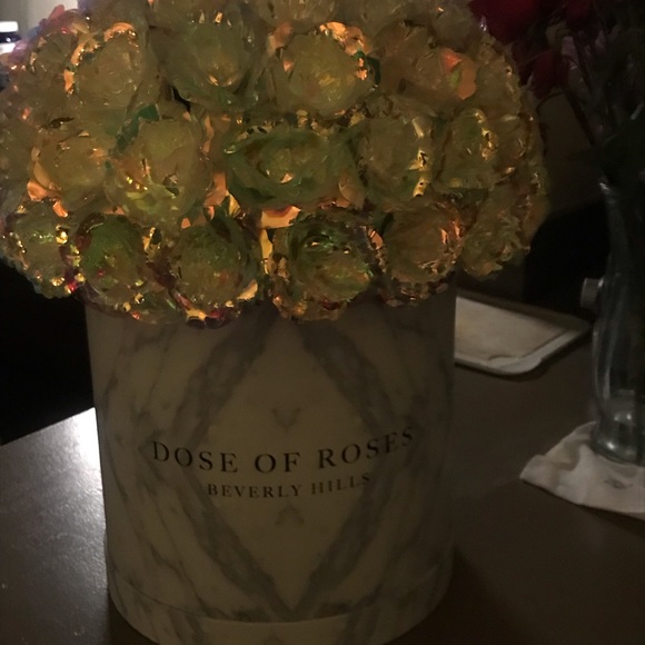 Dose of Roses - 2 exact of the item iridescent - Picture 1 of 2